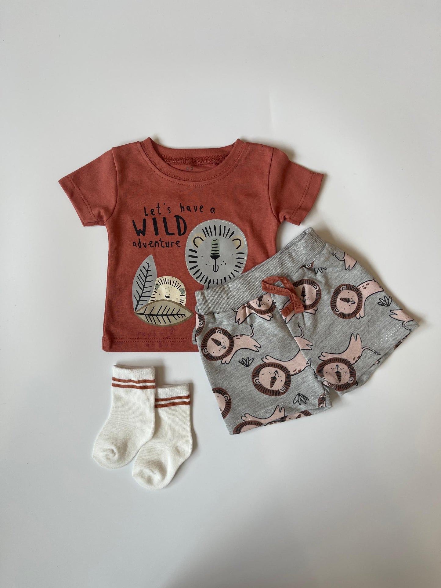 Baby Boy Adventure Playdate Set [0-3M - 12-18M]